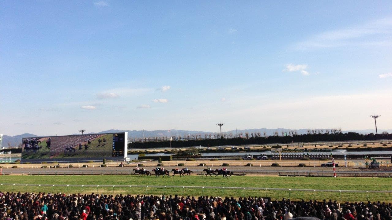 京都競馬場