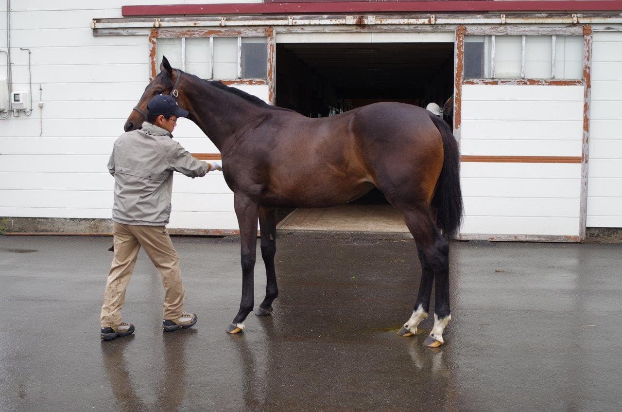 1歳馬-1