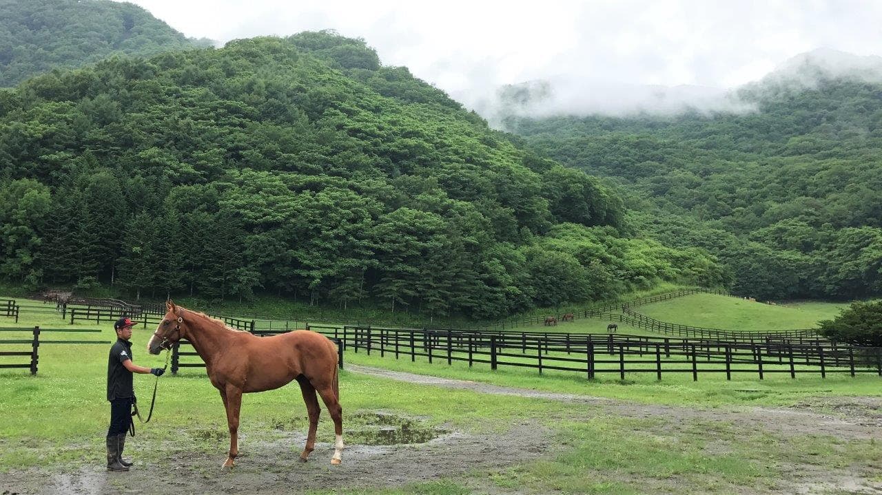 1歳馬-4